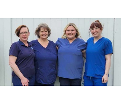A photo of 4 PSWs standing and smiling in their blue attire